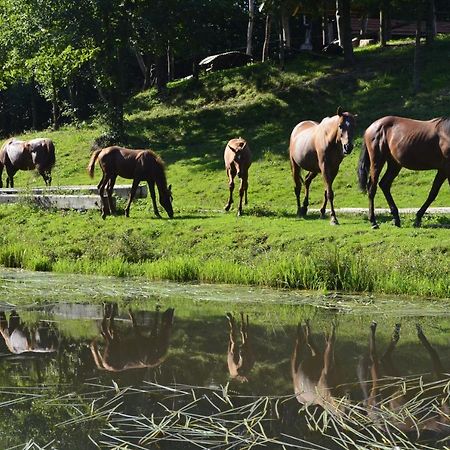 Gospodarstwo Agroturystyczne "Paryja" Olpiny Dış mekan fotoğraf